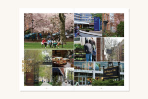 brochure photo spread